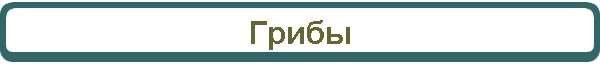 Грибы